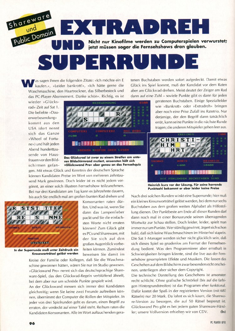 PC Player 8/93 Artikel